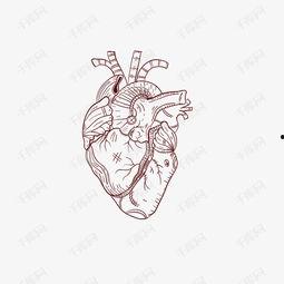 心脏线怎么画视频,轻松绘制心形线条的艺术之旅