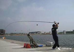 台钓怎么抛竿视频,视频教程详解