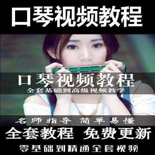 24孔口琴自学教程视频,轻松入门，掌握演奏技巧