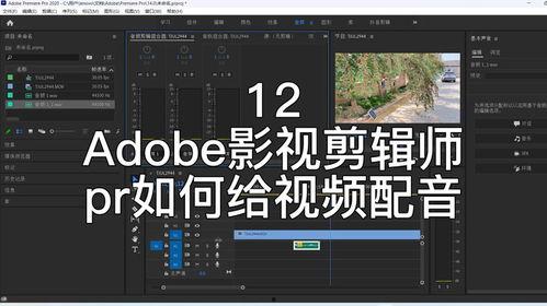视频配音素材,揭秘视频配音素材背后的魅力