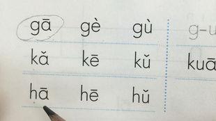 dtnl拼音教学教案视频,轻松掌握拼音发音技巧